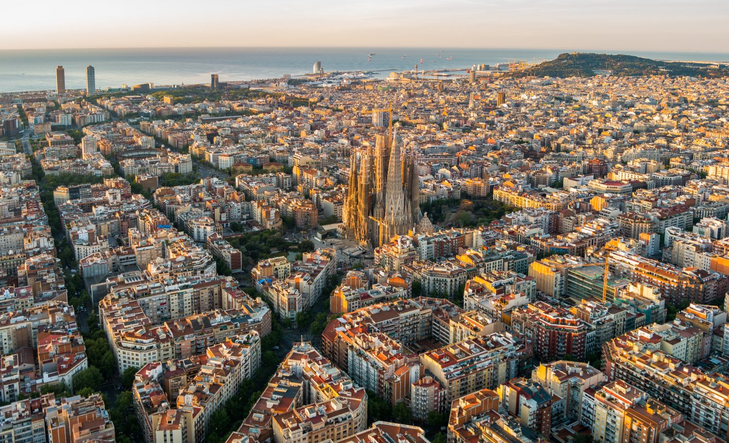 Aerial view of a dense urban landscape with a prominent spired cathedral at the center.