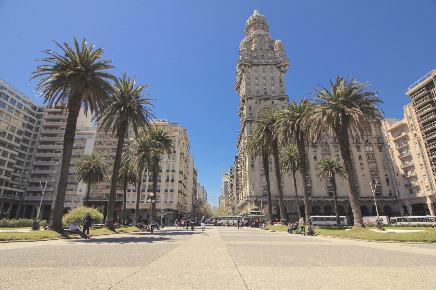 A wide urban avenue lined with palm trees and tall historic buildings, with a tall ornate clock tower in the distance.
