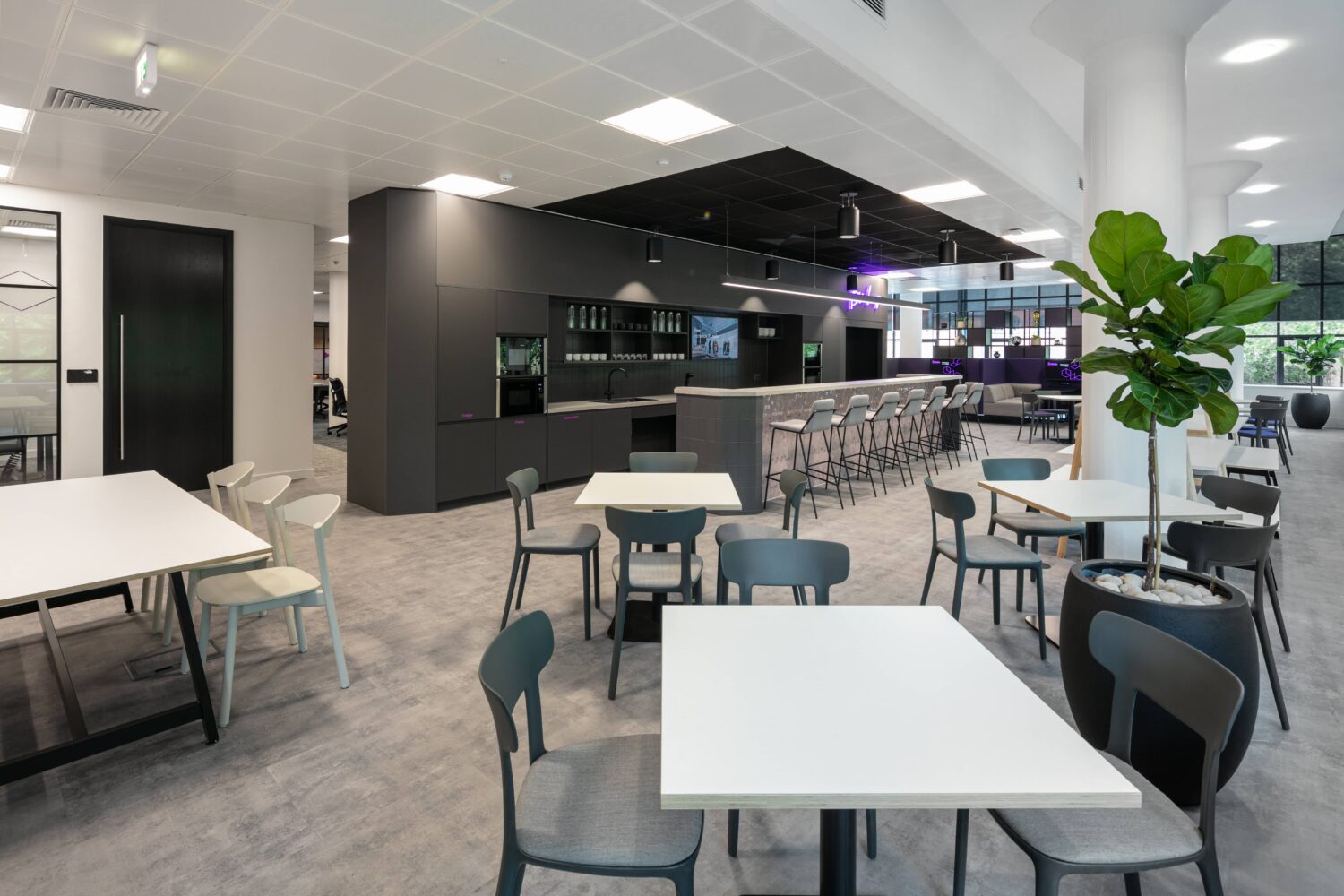 Modern cafe-style dining area with white square tables, gray chairs, a dark service counter, and a large plant.
