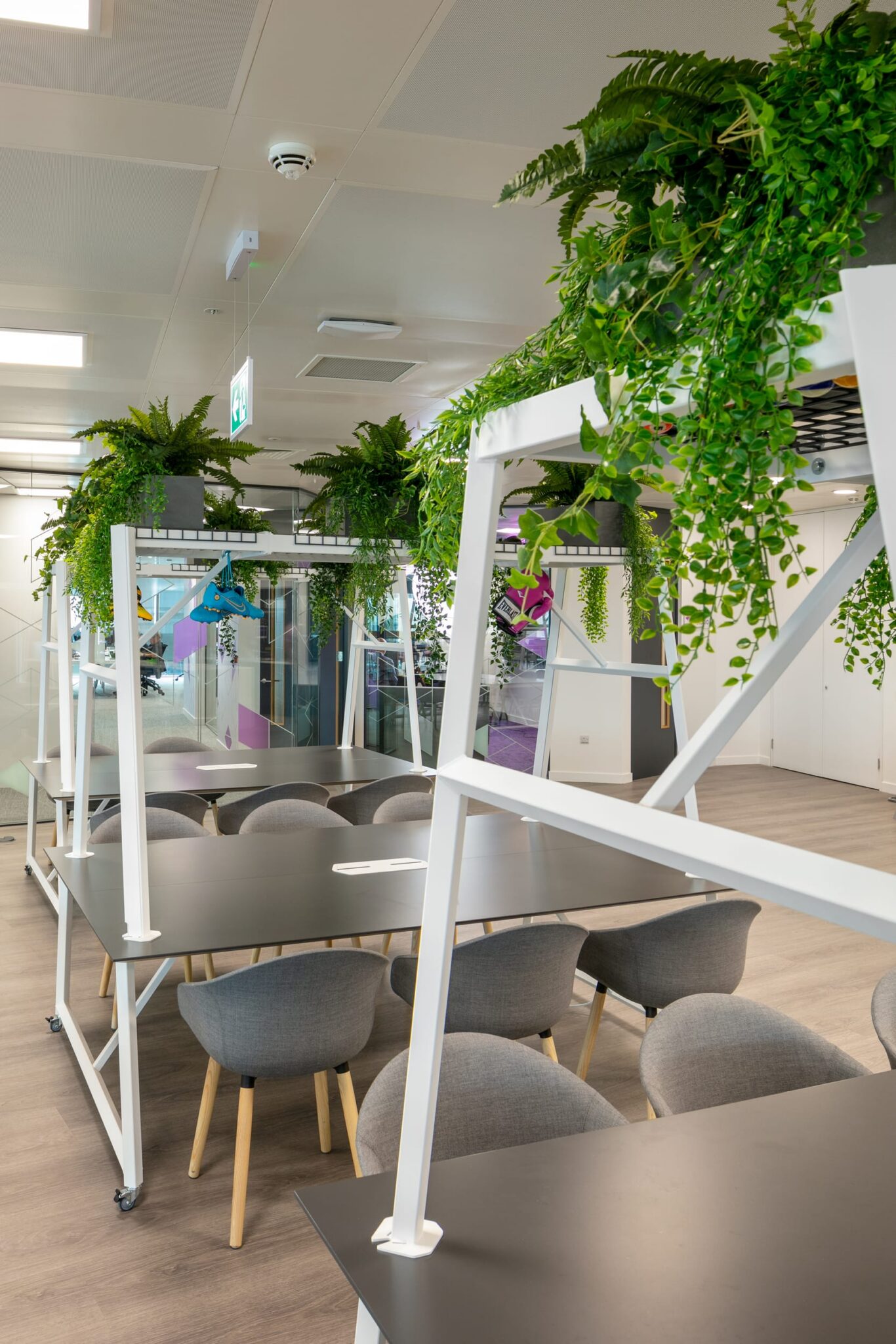 Bright modern workspace with white metal frames, gray seating around round tables, and hanging green plants.